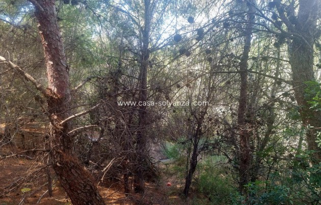 Wiederverkauf - Commercial Property - Altea - Altea Centro