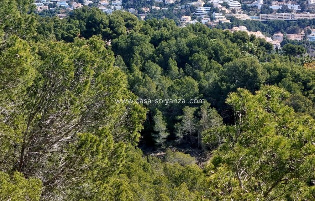 Wiederverkauf - Commercial Property - Altea - Altea Centro