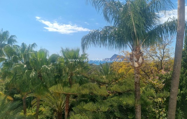 Wiederverkauf - Commercial Property - Altea - Altea Centro