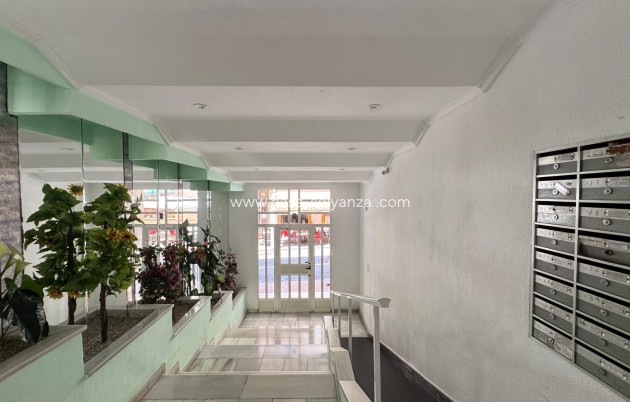 Herverkoop - Appartement / flat - Torrevieja - Playa de los Locos