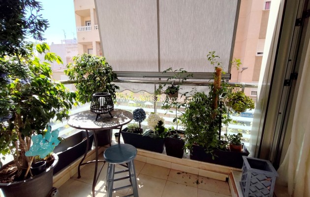 Reventa - Apartamento / piso - Torrevieja - Costa Blanca
