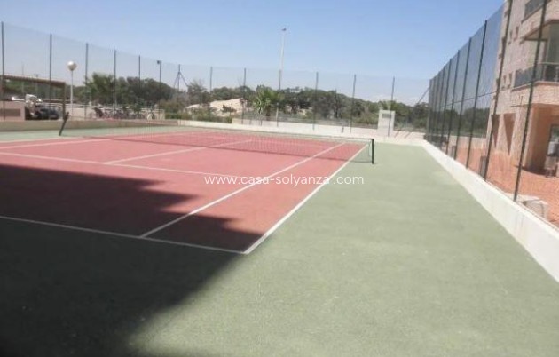 Reventa - Apartamento / piso - Guardamar del Segura - Puerto Deportivo