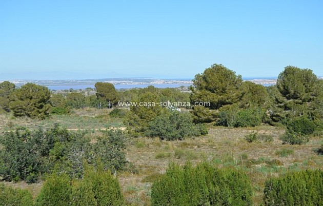 Herverkoop - Appartement / flat - San Miguel de Salinas - Blue Lagoon