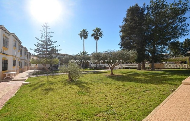 Herverkoop - Appartement / flat - San Miguel de Salinas - Blue Lagoon