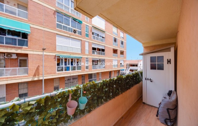 Resale - Apartment / flat - Torrevieja - Torrevieja Centro