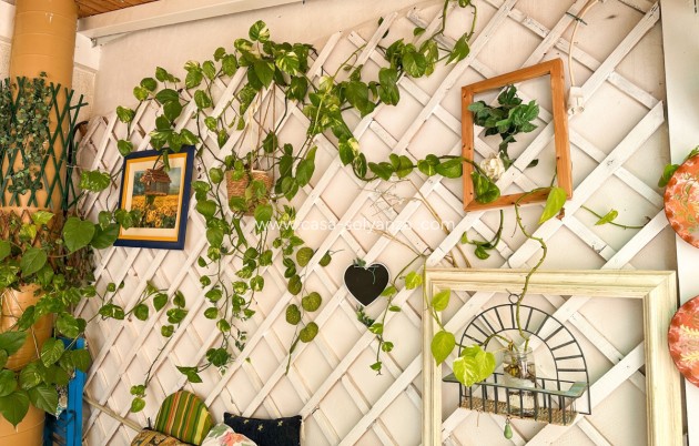 Herverkoop - Appartement / flat - Torrevieja - Torrevieja Centro