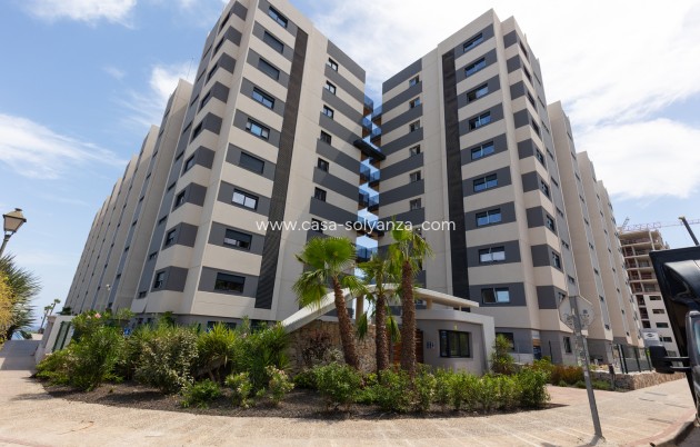 Wiederverkauf - Wohnung - Torrevieja - Costa Blanca