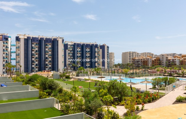 Wiederverkauf - Wohnung - Torrevieja - Costa Blanca