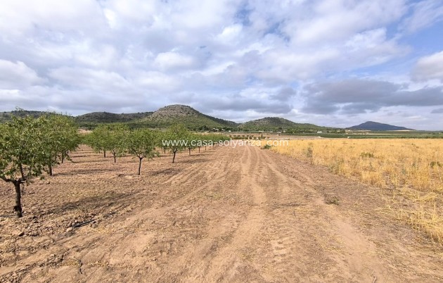 Resale - Land - Yecla - Inland