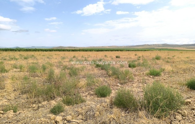 Resale - Land - Yecla - Inland