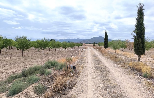 Resale - Land - Yecla - Inland
