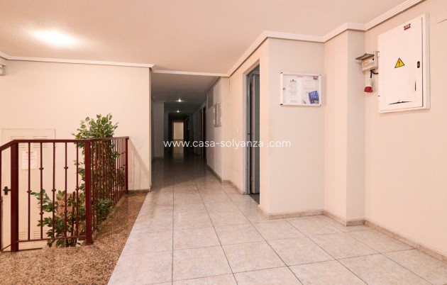 Resale - Apartment / flat - Alicante City - Parque de las Naciones