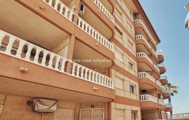 Herverkoop - Appartement / flat - Torrevieja - La Mata