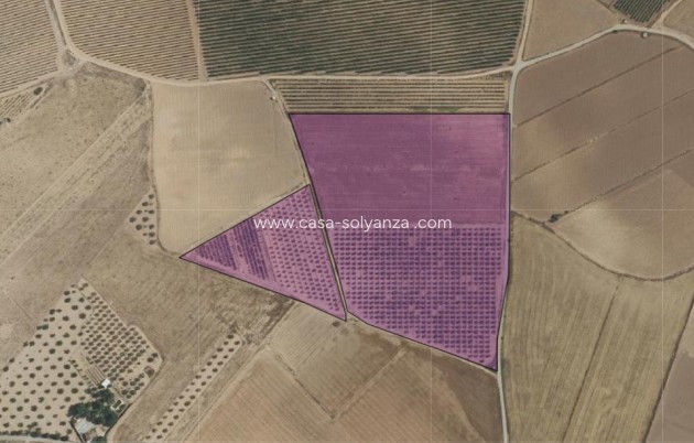 Resale - Land - Yecla - Yecla Centro