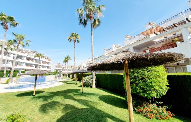 Herverkoop - Appartement / flat - Orihuela - Villamartin