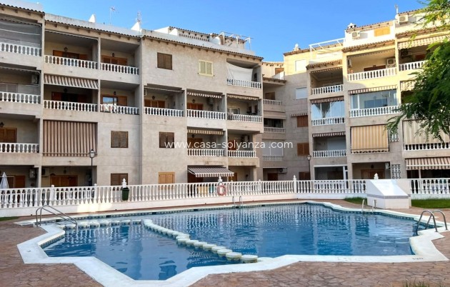 Herverkoop - Appartement / flat - Torrevieja - Playa de los Locos