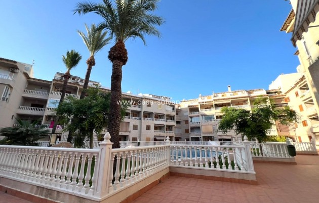 Herverkoop - Appartement / flat - Torrevieja - Playa de los Locos