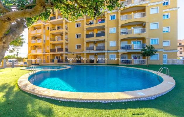 Reventa - Apartamento / piso - Torrevieja - Torrevieja Centro