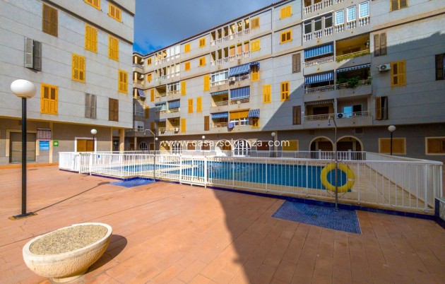 Wiederverkauf - Wohnung - Torrevieja - Torrevieja Centro