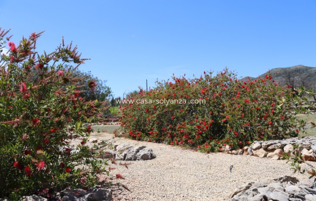Resale - Country Property/Finca - Lliber - Inland
