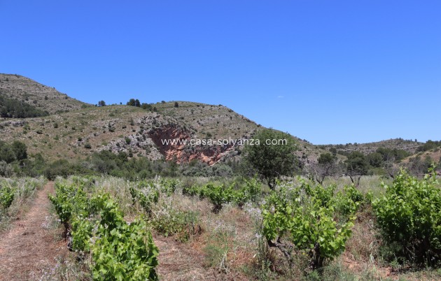Resale - Country Property/Finca - Lliber - Inland
