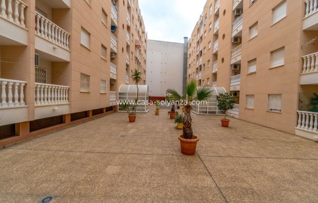 Resale - Apartment / flat - Torrevieja - Torrevieja Centro