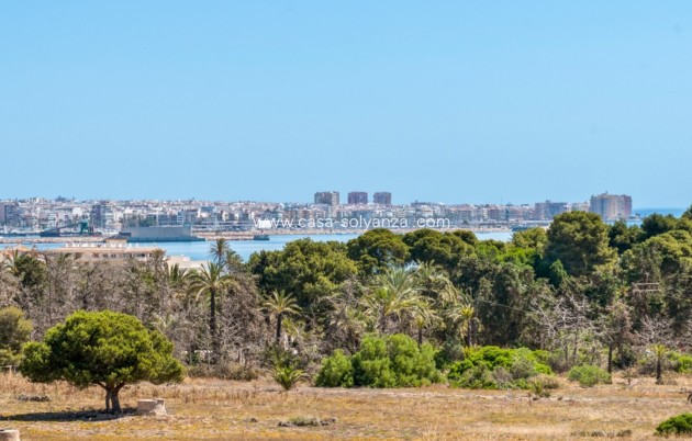 Resale - Apartment / flat - Orihuela Costa - Punta Prima