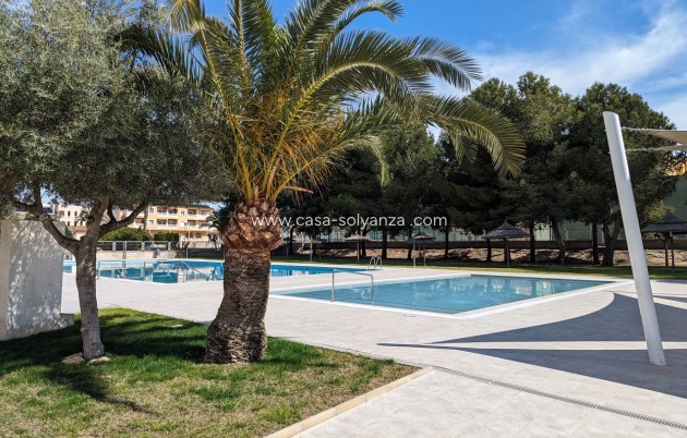 Wiederverkauf - Stadthaus - Algorfa