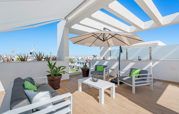 Herverkoop - Appartement / flat - Torrevieja - Torrevieja Centro