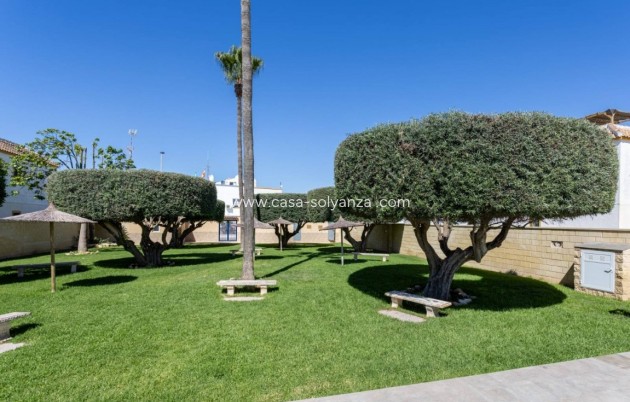 Resale - Apartment / flat - Torrevieja - Costa Blanca
