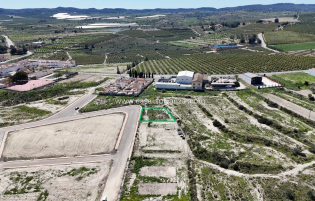 Herverkoop - Land - Torremendo