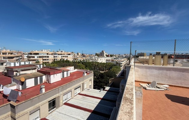 Herverkoop - Appartement / flat - Torrevieja - Playa del Cura