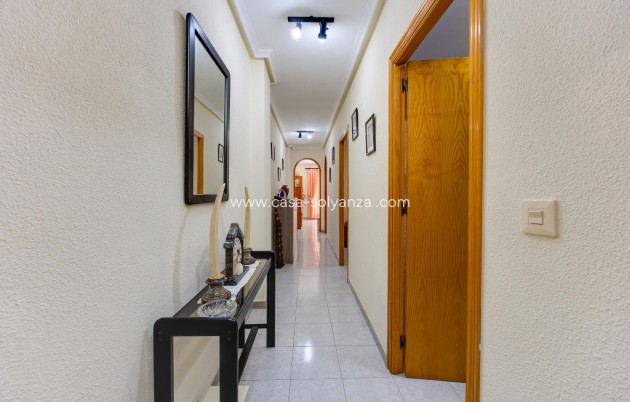 Herverkoop - Appartement / flat - Torrevieja - Playa del Cura