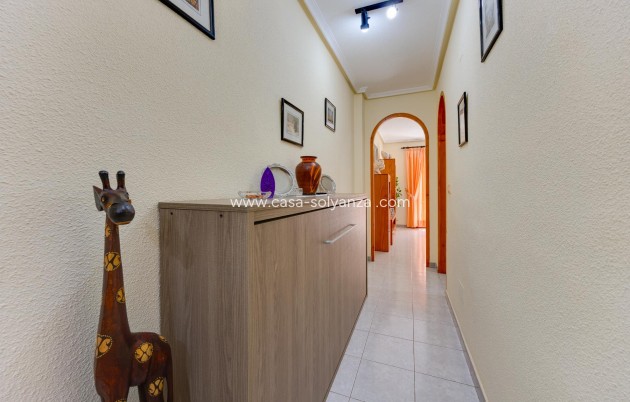 Herverkoop - Appartement / flat - Torrevieja - Playa del Cura