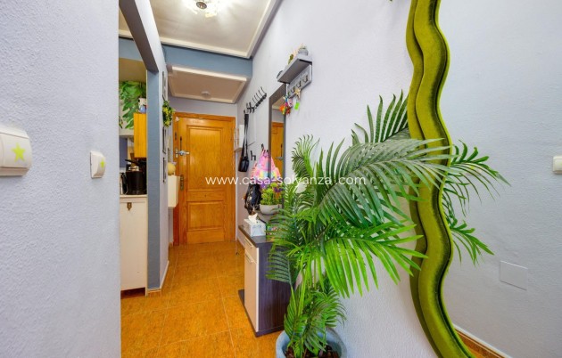 Herverkoop - Appartement / flat - Torrevieja - Torrevieja Centro