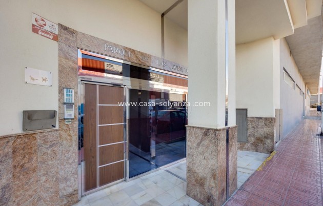 Herverkoop - Appartement / flat - Torrevieja - Torrevieja Centro
