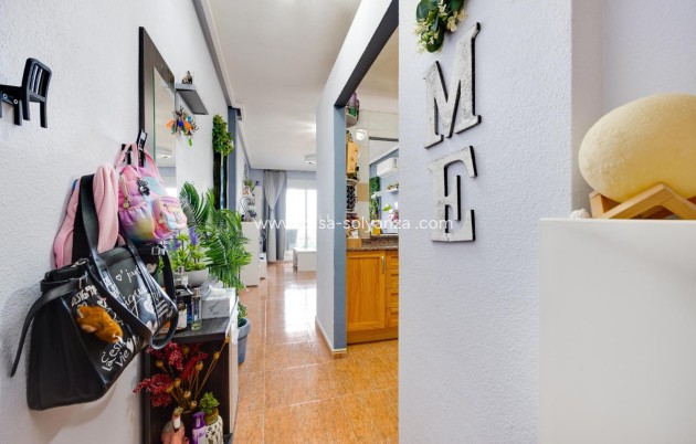 Herverkoop - Appartement / flat - Torrevieja - Torrevieja Centro