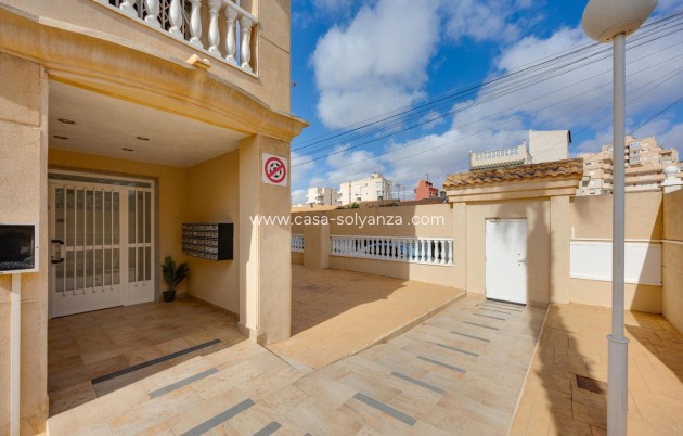Revente - Appartement - Torrevieja - Torrevieja Centro