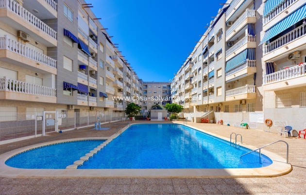 Herverkoop - Appartement / flat - Torrevieja - Torrevieja Centro