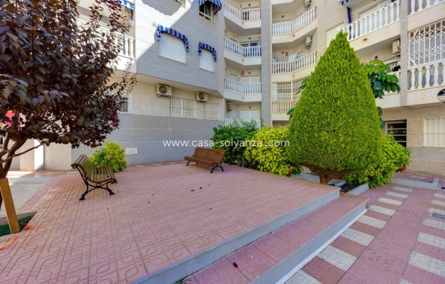 Herverkoop - Appartement / flat - Torrevieja - Torrevieja Centro