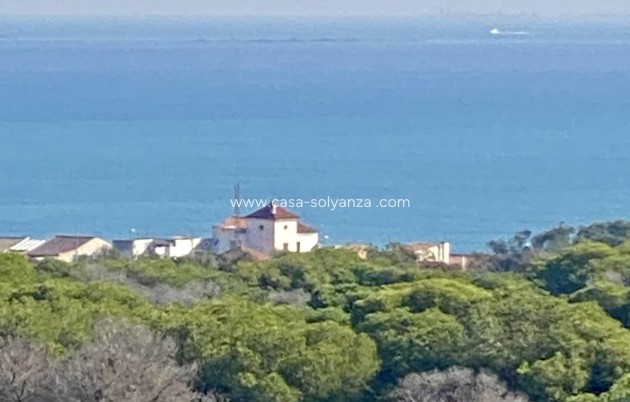 New Build - Apartment / flat - Guardamar del Segura - Center