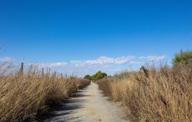 Reventa - Bungalow - Torrevieja - San Luis