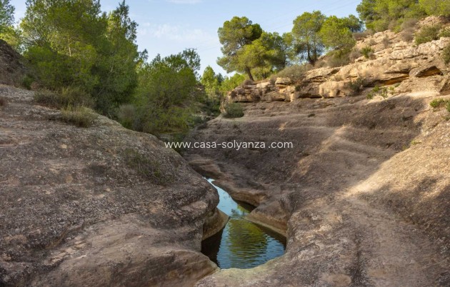 Reventa - Bungalow - Algorfa - La Finca Golf Resort
