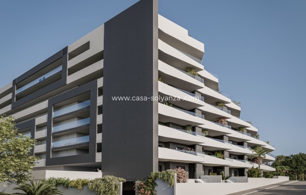 Neue Gebäude - Wohnung - San Miguel de Salinas