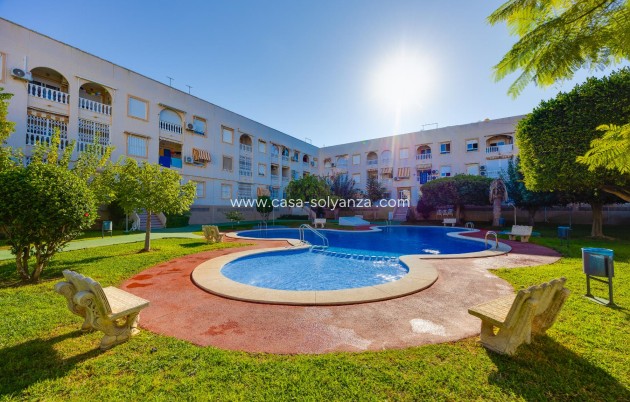 Wiederverkauf - Wohnung - Torrevieja - Playa del Acequión