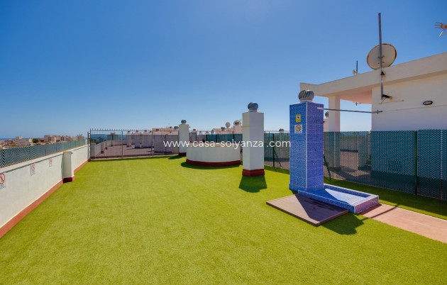 Wiederverkauf - Wohnung - Torrevieja - Center
