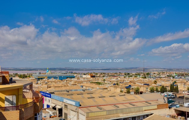 Wiederverkauf - Wohnung - Torrevieja - Center