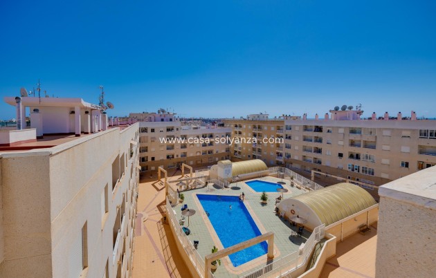 Wiederverkauf - Wohnung - Torrevieja - Center