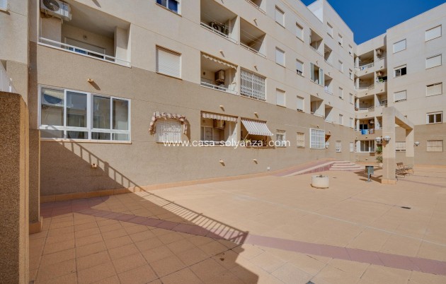 Wiederverkauf - Wohnung - Torrevieja - Center