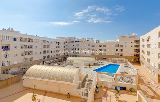 Wiederverkauf - Wohnung - Torrevieja - Center